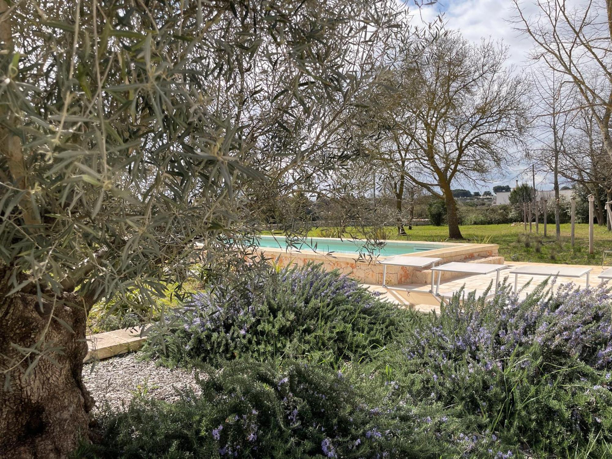 מרטינה פרנקה Trullo Panna Fragola - Exclusive Four Bedroom Villa & Private Pool מראה חיצוני תמונה