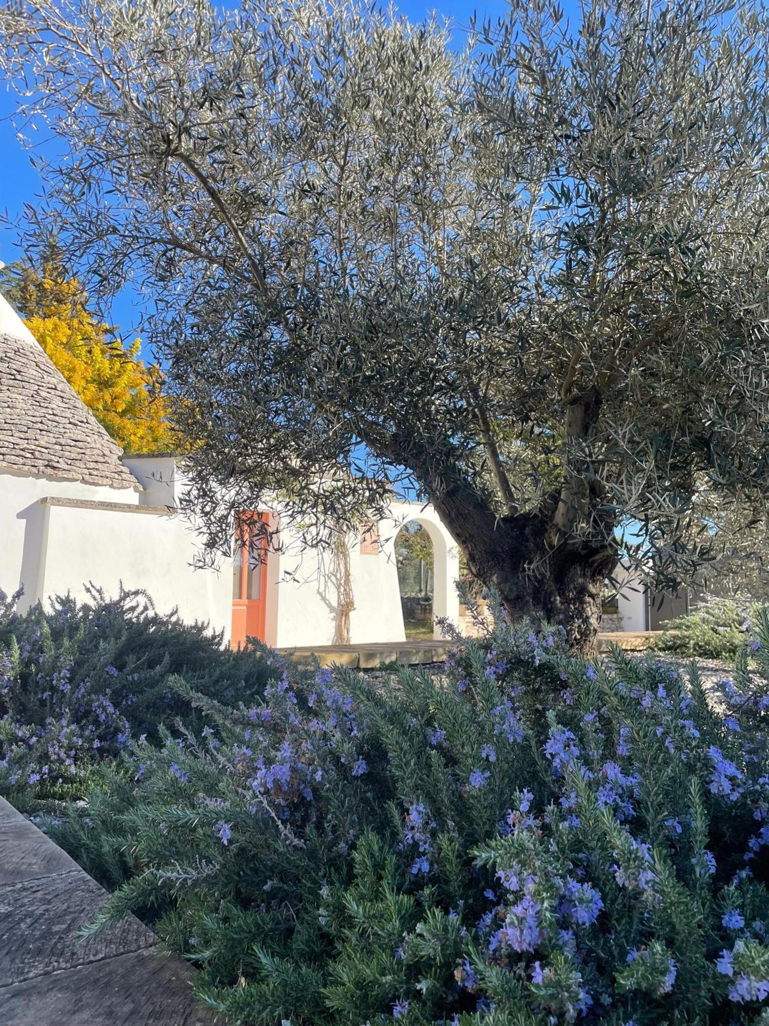 מרטינה פרנקה Trullo Panna Fragola - Exclusive Four Bedroom Villa & Private Pool מראה חיצוני תמונה